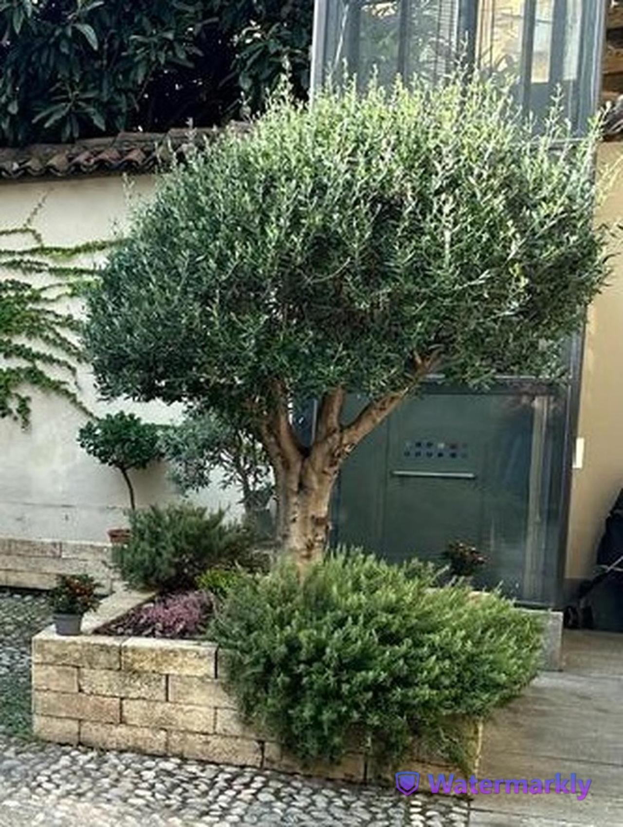 阿斯蒂Le Tre Ca', Ca' Cecilia, Ca' Nina, Ca' Vittoria公寓 外观 照片